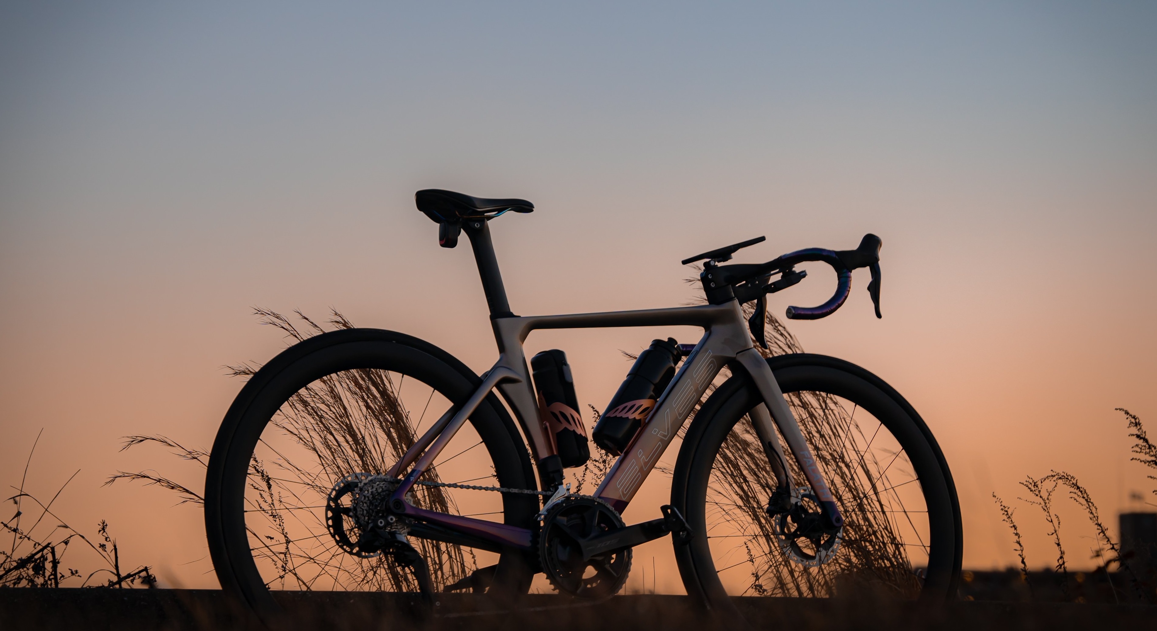 ELVES FALATH EXP UCI DISC